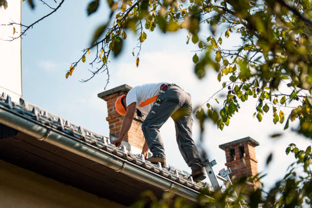 Best Green or Eco-Friendly Roofing Solutions  in Lamont, CA