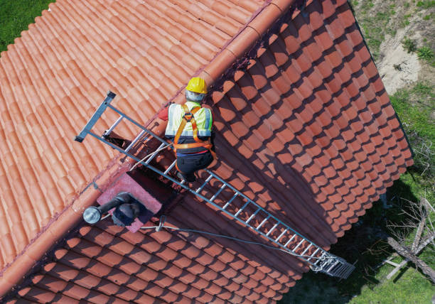 Best Asphalt Shingles Roofing  in Lamont, CA