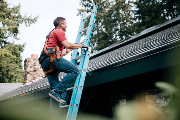 Best Steel Roofing  in Lamont, CA