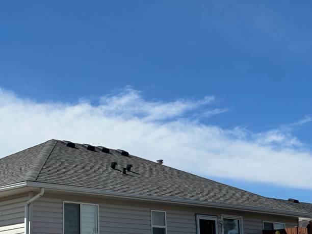 Best Chimney Flashing Repair  in Lamont, CA